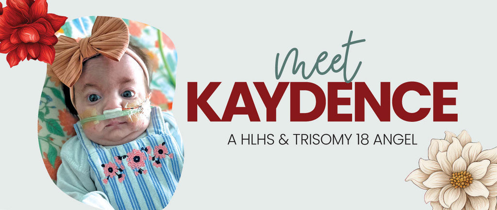 Kaydence
