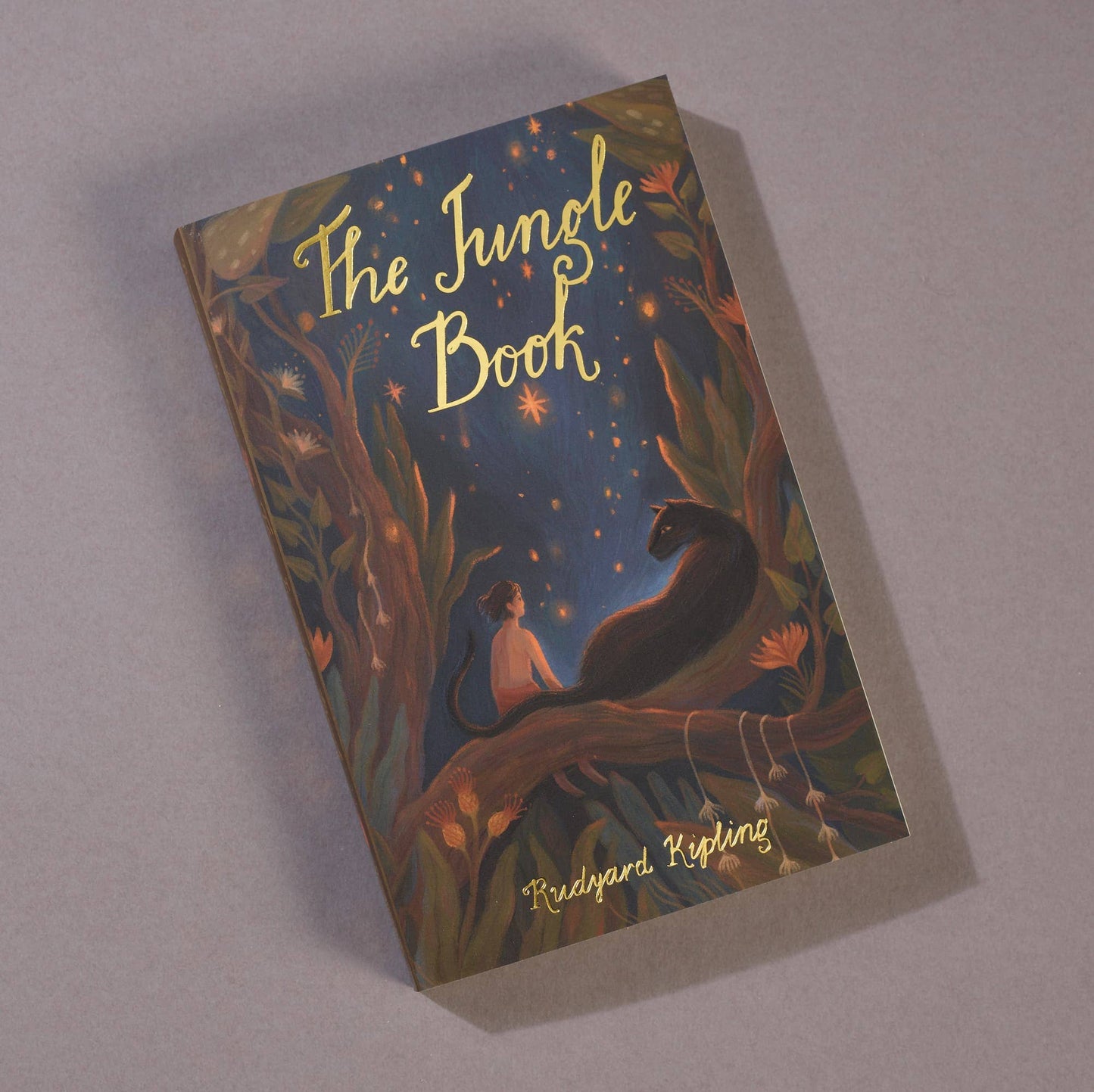 The Jungle Book | Exclusive Editions | Wordsworth Book