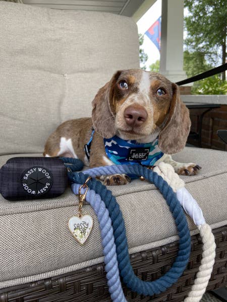 Dog Rope Leash - Ombre Blue