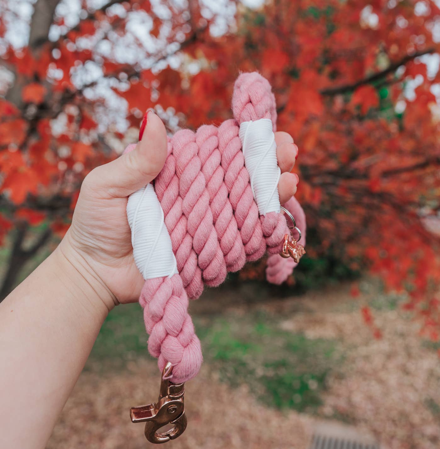 Dog Rope Leash - Cotton Candy