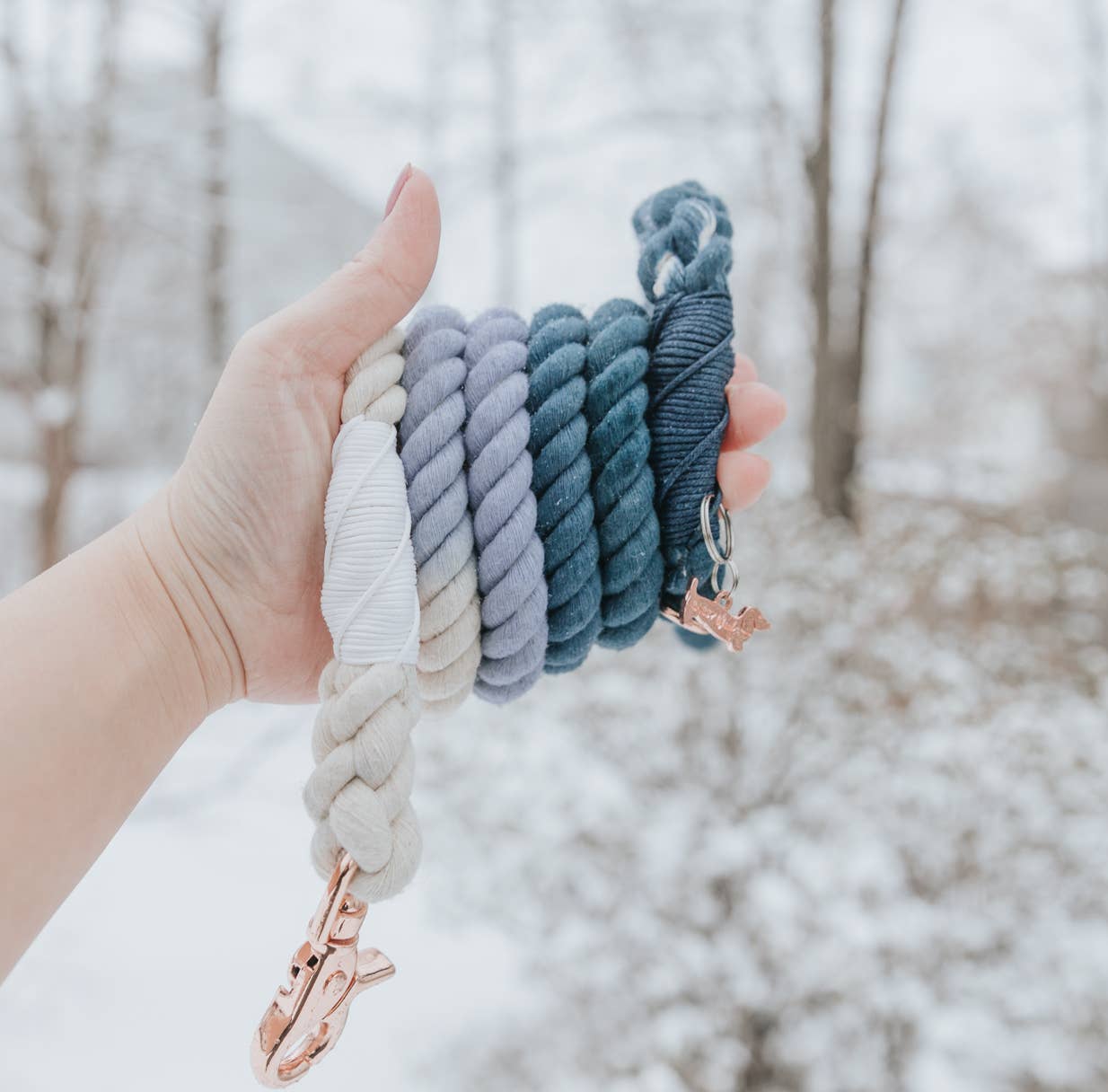 Dog Rope Leash - Ombre Blue