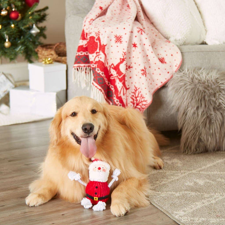 The Real Santa Claus Christmas Dog Toy