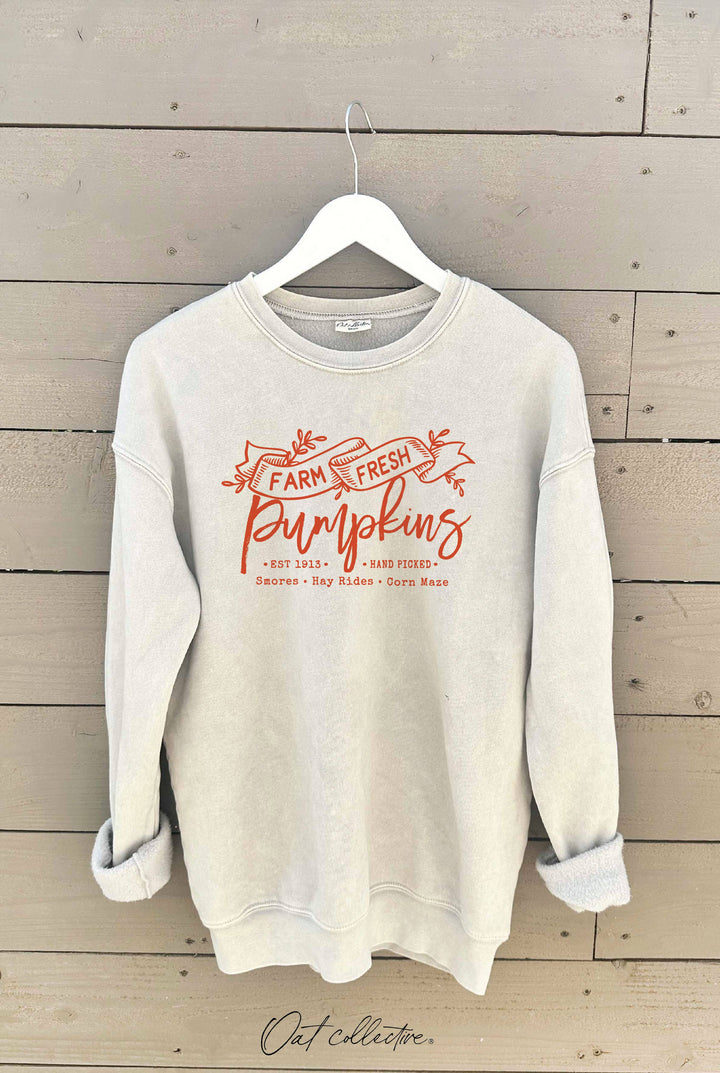 FARM FRESH PUMPKINS Mineral Graphic Sweatshirt