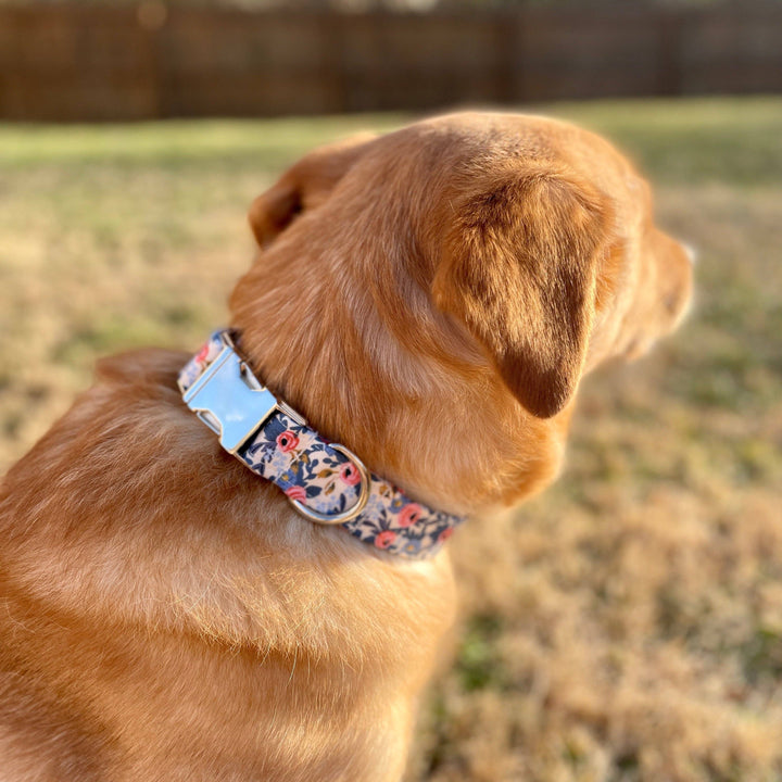 Floral Dog Collar, Girl Dog Collar, Rosa Periwinkle, Oxford
