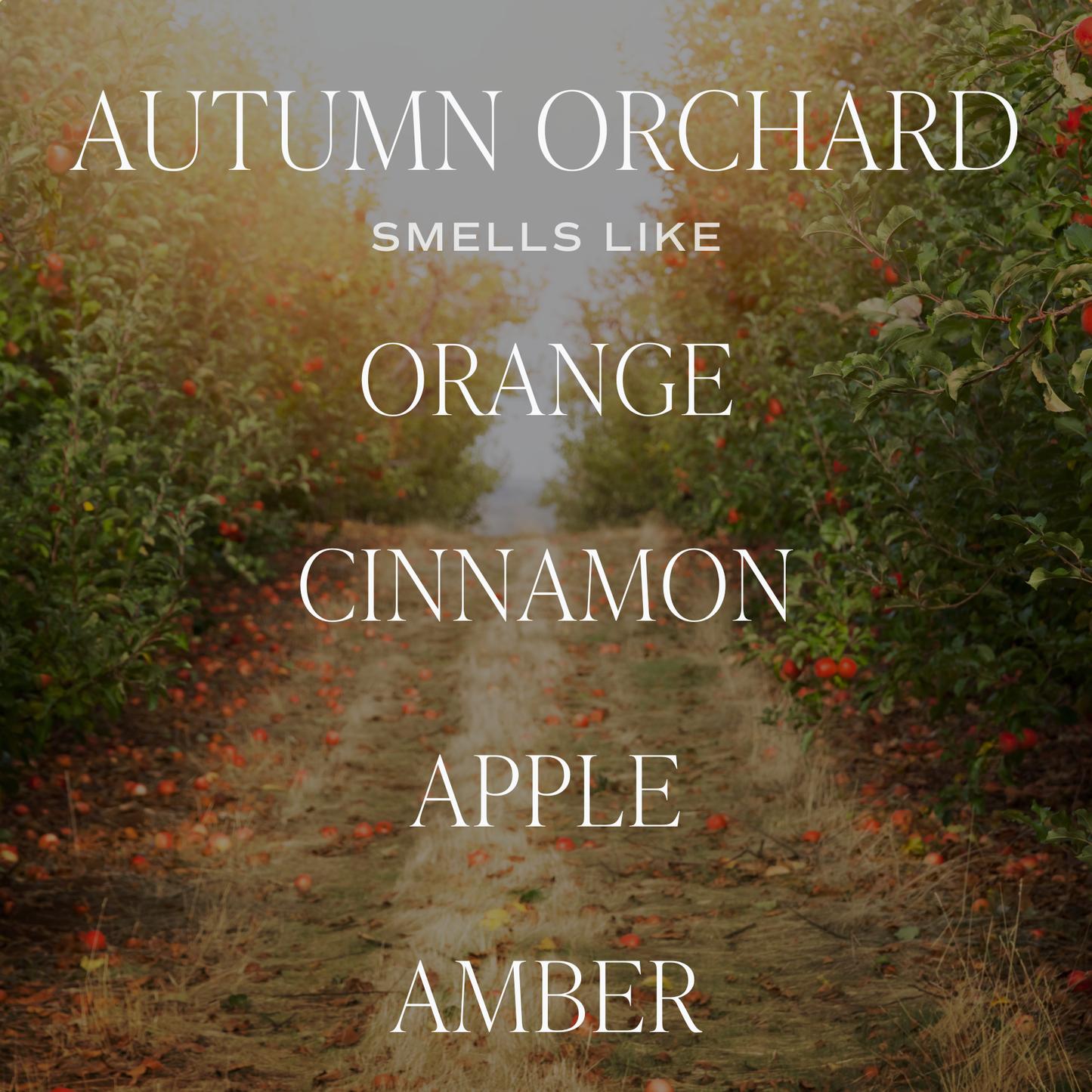 Autumn Orchard 9 oz Soy Candle - Fall Home Decor, Gift