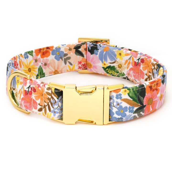 Rifle Paper Co. x TFD Marguerite Spring Dog Collar